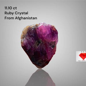 Op de afbeelding: Een ruwe robijnkristal uit Afghanistan, 11,10 ct. De edelsteen heeft een dieproze-rode kleur met een ruwe, natuurlijke textuur. De afbeelding bevat de tekst "11.10 ct Ruby Crystal From Afghanistan."