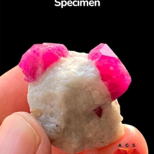 Puede incluir: Un espécimen de rubí afgano de 100 ct con dos cristales de rubí de color rosa rojizo vibrante incrustados en una matriz mineral rugosa de color blanco hueso. El texto 100 ct Afghan Ruby Specimen y un logotipo AGS son visibles.