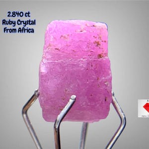 Könnte beinhalten: Ein roher, rosa Rubinkristall aus Afrika mit einem Gewicht von 2,840 ct wird von einem silberfarbenen Metallständer gehalten. Der Edelstein hat eine raue, strukturierte Oberfläche mit kleinen braunen Einschlüssen. Der Text auf dem Bild lautet "2.840 ct Ruby Crystal From Africa".