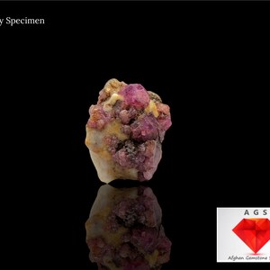 May include: An 8 ct ruby specimen featuring a cluster of deep pink and red crystals. The rough gemstone has a textured surface with areas of beige and brown. The text "8 ct Ruby Specimen" is at the top left.
