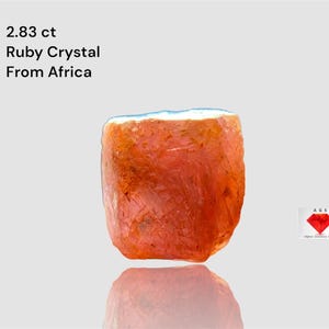Puede incluir: Un cristal de rubí en bruto de África, que pesa 2,83 quilates. La gema es de color rojo anaranjado vibrante con una parte superior blanca. Incluye el texto "2.83 ct Ruby Crystal From Africa".