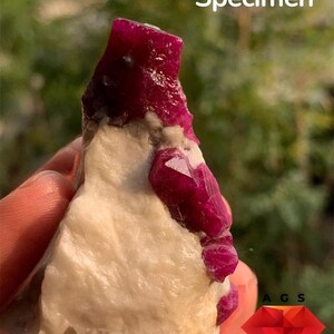 May include: A 734 ct ruby specimen featuring deep red, crystalline ruby formations embedded in a rough, off-white mineral matrix. The stone displays natural, jagged textures and vibrant crimson hues throughout the prominent crystal structures.