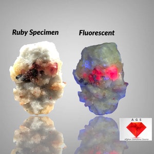以下が含まれることがあります： 2つのルビー標本の画像。1つ目は「Ruby Specimen」とラベルされた、赤と黒のインクルージョンを持つ白とタン色の岩を示しています。2つ目は「Fluorescent」とラベルされ、同じ岩がピンクと青に光っています。