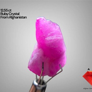 Natural 12.55 Carat Afghan Ruby Crystal – Rare Collector’s Gemstone (18.50 × 12.25 × 8.65 mm)