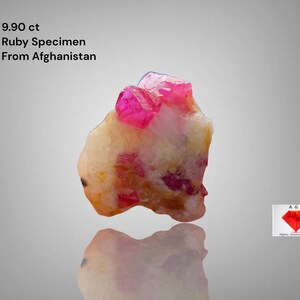 May include: A 9.90 ct ruby specimen from Afghanistan. The gemstone displays a mix of pink and cream hues. The image includes the text "Ruby Specimen From Afghanistan".