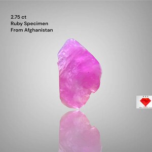 2.75ct Afghan Ruby Specimen – Graceful Dimensions, Genuine Beauty