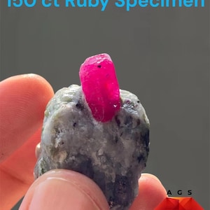 May include: A 150 ct ruby specimen featuring a vibrant, translucent pinkish-red crystal embedded in a rough, greyish-white mineral matrix. The text 150 ct Ruby Specimen is visible at the top, and the letters A G S with a red diamond logo are below.