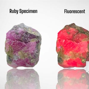 May include: Two rough ruby specimens are shown. One is a pinkish-purple colour, labelled "Ruby Specimen." The other glows bright red, labelled "Fluorescent." The image includes a logo for Afghan Gemstone Source.