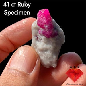 Pode incluir: Um espécime de rubi de 41 ct com uma estrutura cristalina vermelho-rosada vibrante incrustada numa matriz mineral branca texturizada. O texto 41 ct Ruby Specimen é visível no topo, com um logótipo AGS no canto inferior direito.