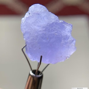 Puede incluir: Primer plano de un cristal de Hackmanita rugoso de color púrpura claro de Afganistán, sostenido por una herramienta de metal. El cristal pesa 17,05 ct. El fondo está borroso, con texto en la parte superior y un logotipo en la parte inferior.
