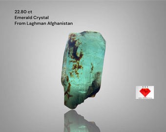 Può includere: Cristallo di smeraldo traslucido da Laghman, Afghanistan, con un peso di 22,80 ct. Il cristallo ha una tonalità verde chiaro con inclusioni marroni. L'immagine include anche il logo AGS. La superficie del cristallo è riflettente.