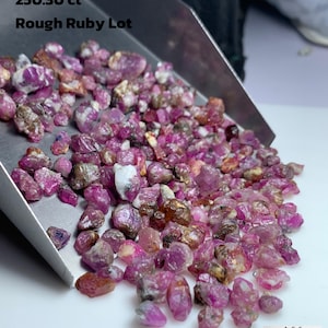 Op de afbeelding: Een verzameling ruwe robijn edelstenen, gepresenteerd in een metalen schep. De robijnen zijn in verschillende tinten roze en rood, met enkele bruine en witte insluitsels. De tekst luidt "250.30 ct Rough Ruby Lot."