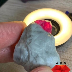 Natural Afghan Ruby Specimen – 88.40 Carats of Raw Beauty