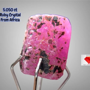 Puede incluir: Un vibrante cristal de rubí rosa de África, con un peso de 5,050 ct, se exhibe sobre un soporte plateado. La gema presenta inclusiones oscuras y una superficie rugosa y texturizada. La imagen incluye texto que indica el origen y el peso del cristal.
