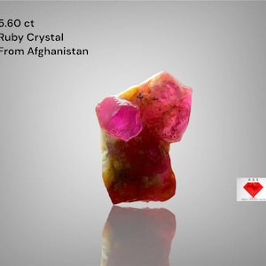 May include: A raw ruby crystal from Afghanistan, weighing 5.60 ct. The gemstone features a vibrant pink hue with areas of yellow and red. The image includes the text "5.60 ct Ruby Crystal From Afghanistan".