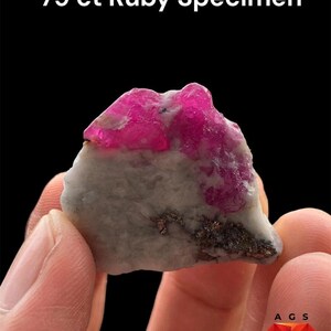 Pode incluir: Um espécime de rubi de 79 ct com uma estrutura cristalina rosa-avermelhada vibrante incrustada numa matriz cinzento-clara texturada com inclusões castanhas metálicas. O texto 79 ct Ruby Specimen é exibido no topo, com um logótipo A G S na base.