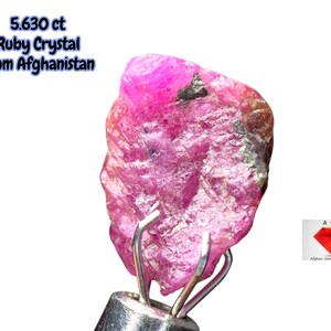 May include: A rough, unpolished ruby crystal from Afghanistan, weighing 5.630 ct. The gemstone is a vivid pink with darker patches and is held by a metal clamp. Text on the image reads "5.630 ct Ruby Crystal From Afghanistan."