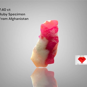 7.40ct Natural Ruby Specimen – Afghanistan | 16.55 x 9.34 x 8.06 mm