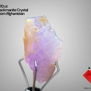Puede incluir: Cristal de hackmanita en bruto de Afganistán, con un peso de 5,70 ct. La gema muestra una mezcla de colores lavanda, melocotón y amarillo. Se sujeta con un soporte metálico sobre un fondo gris.
