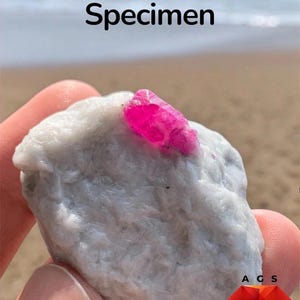 Pode incluir: Um espécime de rubi de 226 ct com um cristal vibrante, translúcido e vermelho-rosado incrustado numa matriz de rocha branca, opaca e texturizada. A imagem inclui o texto 226 ct Ruby Specimen e um logótipo vermelho em forma de diamante.