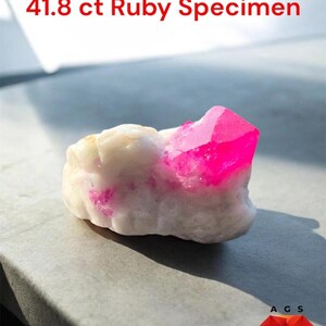 Może przedstawiać: Okaz rubinu o masie 41,8 ct z żywą, półprzezroczystą, jaskraworóżową formacją kryształu osadzoną w teksturowanej, nieprzezroczystej białej matrycy mineralnej. Tekst 41.8 ct Ruby Specimen widoczny u góry, logo AGS w prawym dolnym rogu.