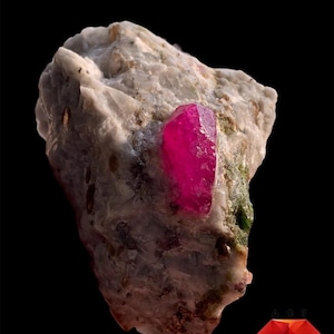 May include: A 451 ct Afghan Ruby Specimen featuring a vibrant, deep pinkish-red ruby crystal embedded within a rough, textured, off-white and grey mineral matrix. The specimen displays natural crystalline facets and irregular stone surfaces.
