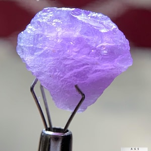 Puede incluir: Un cristal de Hackmanita de color púrpura claro de Afganistán, sostenido por una herramienta de metal. El cristal pesa 9,25 ct. La imagen incluye el texto "9.25 ct Hackmanite Crystal From Afghanistan".