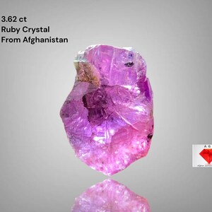 Op de afbeelding: Een ruwe, ongeslepen robijnkristal uit Afghanistan, 3,62 ct. De edelsteen heeft een levendige roze-paarse kleur en een reflecterend oppervlak. De tekst geeft de herkomst en het gewicht aan.