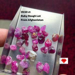 Puede incluir: Un lote de gemas de rubí en bruto, con un peso de 39,50 ct, exhibidas en una bandeja metálica. Los rubíes, de diversos tamaños y formas, muestran tonos rosados y rojizos. El texto indica "Ruby Rough Lot From Afghanistan."