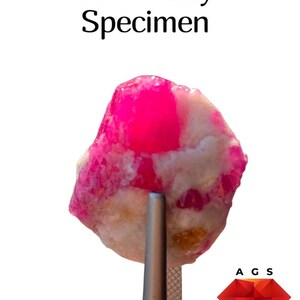 May include: A 44 ct ruby specimen featuring vibrant pink and red crystalline sections embedded within a white and translucent mineral matrix, held by metal tweezers, with the text 44 ct Ruby Specimen and A G S Afghan Gemstone Source.