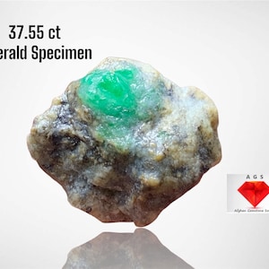 Puede incluir: Un espécimen de esmeralda en bruto con un cristal verde vibrante incrustado en una matriz de roca gris y beige. El texto "37.55 ct Emerald Specimen" se muestra encima de la gema. Un logotipo de Afghan Gemstone Source está en la parte inferior derecha.