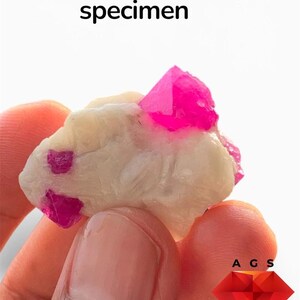 Pode incluir: Um espécime de rubi de 76 ct com estruturas cristalinas rosa vibrantes incrustadas numa matriz mineral branca opaca e texturizada. O texto 76 ct Ruby specimen é exibido no topo, com A G S e Afghan Gemstone Source abaixo.