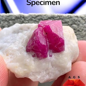 Pode incluir: Um espécime de rubi de 250 ct com estruturas cristalinas vermelho-rosadas vibrantes incrustadas numa matriz mineral branca, rugosa e opaca. O texto 250 ct Ruby Specimen é visível no topo, com um logótipo A G S na parte inferior.