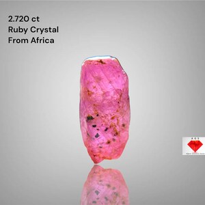 Puede incluir: Cristal de rubí rosa vibrante de África, con un peso de 2,720 ct. La gema tiene una textura natural rugosa con inclusiones oscuras. La imagen incluye el texto "2.720 ct Ruby Crystal From Africa".