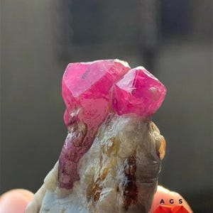 May include: A 277 ct ruby specimen featuring two vibrant, deep pinkish-red crystalline structures emerging from a textured, pale, and brownish-white mineral matrix. The text 277 ct Ruby specimen is visible at the top, with an AGS logo at the bottom.
