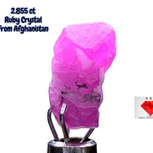Puede incluir: Se muestra un vibrante cristal de rubí rosa de Afganistán, con un peso de 2,855 ct. La gema en bruto está sujeta por un soporte metálico sobre un fondo blanco. El texto "2.855 ct Ruby Crystal From Afghanistan" es visible.