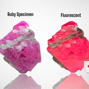 May include: Image of two ruby specimens, one labeled "Ruby Specimen" and the other "Fluorescent." The ruby on the left is a deep pink, while the fluorescent ruby on the right glows a bright red. Both have a rough, crystalline structure.
