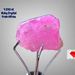 Puede incluir: Un vibrante cristal de rubí rosa de África, sujeto por pinzas metálicas. La gema tiene una forma rugosa e irregular, con el texto "4.290 ct Ruby Crystal From Africa" visible. Un logotipo de Afghan Gemstone Source está presente.