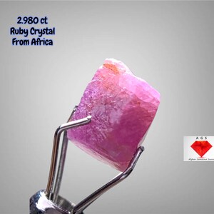 Puede incluir: Un cristal de rubí rosa en bruto de África, sostenido por una herramienta de metal plateado. El cristal pesa 2,980 ct y tiene una superficie rugosa y texturizada. La imagen incluye el texto "2.980 ct Ruby Crystal From Africa".