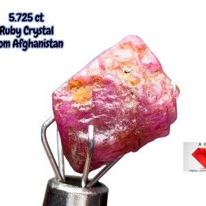 Pode incluir: Um cristal de rubi bruto, avermelhado-rosado, do Afeganistão, preso em uma pinça de metal. A gema pesa 5,725 ct. A imagem inclui o texto "5.725 ct Ruby Crystal From Afghanistan". Um logotipo da Afghan Gemstone Source está no canto inferior direito.