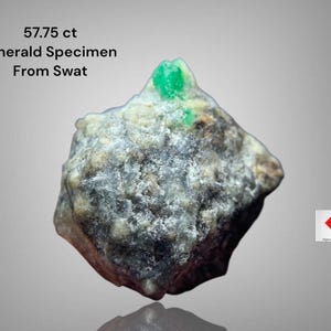 Peut inclure: Spécimen d'émeraude brute de Swat, pesant 57,75 ct. La pierre présente une matrice texturée grise et beige avec un cristal d'émeraude vert vif visible sur le dessus. Le texte "Emerald Specimen From Swat" est également présent.