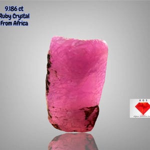 Puede incluir: Un cristal de rubí rosa en bruto de África. La gema es de color rosa vibrante con inclusiones marrones oscuras y negras. El texto de la imagen dice "9.186 ct Ruby Crystal From Africa."