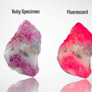 May include: Two ruby specimens are shown, one labeled "Ruby Specimen" and the other "Fluorescent." The ruby on the left is pink and white, while the ruby on the right glows bright red. The image includes the text "Afghan Gemstone Source."