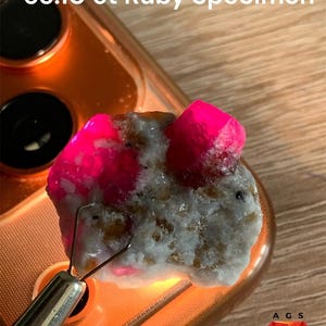 Pode incluir: Um espécime de rubi de 63,10 ct com estruturas cristalinas vermelho-rosadas vibrantes incrustadas numa matriz mineral branca e bege texturizada. A gema bruta é segurada por uma pinça metálica, com o texto 63.10 ct Ruby Specimen acima.