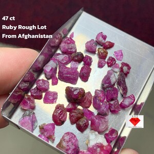 May include: A selection of rough ruby gemstones, presented in a small metal tray. The rubies are various sizes and shapes, with a deep pink to red colour. Text on the image reads "47 ct Ruby Rough Lot From Afghanistan."