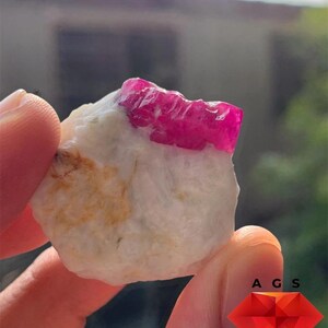 May include: An 80 ct ruby specimen featuring a vibrant, deep pinkish-red crystal embedded in a textured, off-white mineral matrix. The text 80 ct Ruby Specimen is visible at the top, with an A G S logo and Afghan Gemstone Source at the bottom.