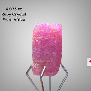 Puede incluir: Un cristal de rubí rosa en bruto de África, con un peso de 4,075 ct, está sujeto por un soporte de metal plateado. La gema en bruto tiene una superficie texturizada y se muestra sobre un fondo gris claro.