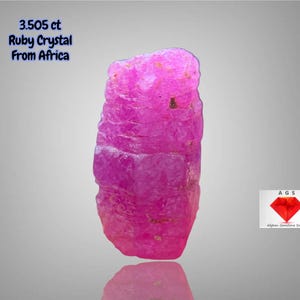 Puede incluir: Cristal de rubí rosa vibrante de África, con un peso de 3,505 ct. La gema tiene una superficie rugosa y texturizada, sobre un fondo gris degradado. También incluye el texto "Ruby Crystal From Africa".