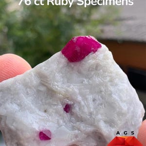 May include: A raw mineral specimen featuring a white, crystalline rock matrix embedded with three distinct, vibrant magenta-red ruby crystals. The text 76 ct Ruby Specimens is printed at the top, and the A G S logo is visible at the bottom right.