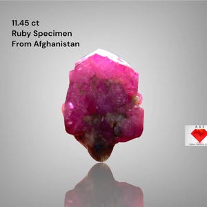 Puede incluir: Un vibrante espécimen de rubí rosa de Afganistán, con un peso de 11,45 ct. La gema en bruto tiene una estructura cristalina y se muestra sobre un fondo gris degradado. Incluye el texto "11.45 ct Ruby Specimen From Afghanistan."